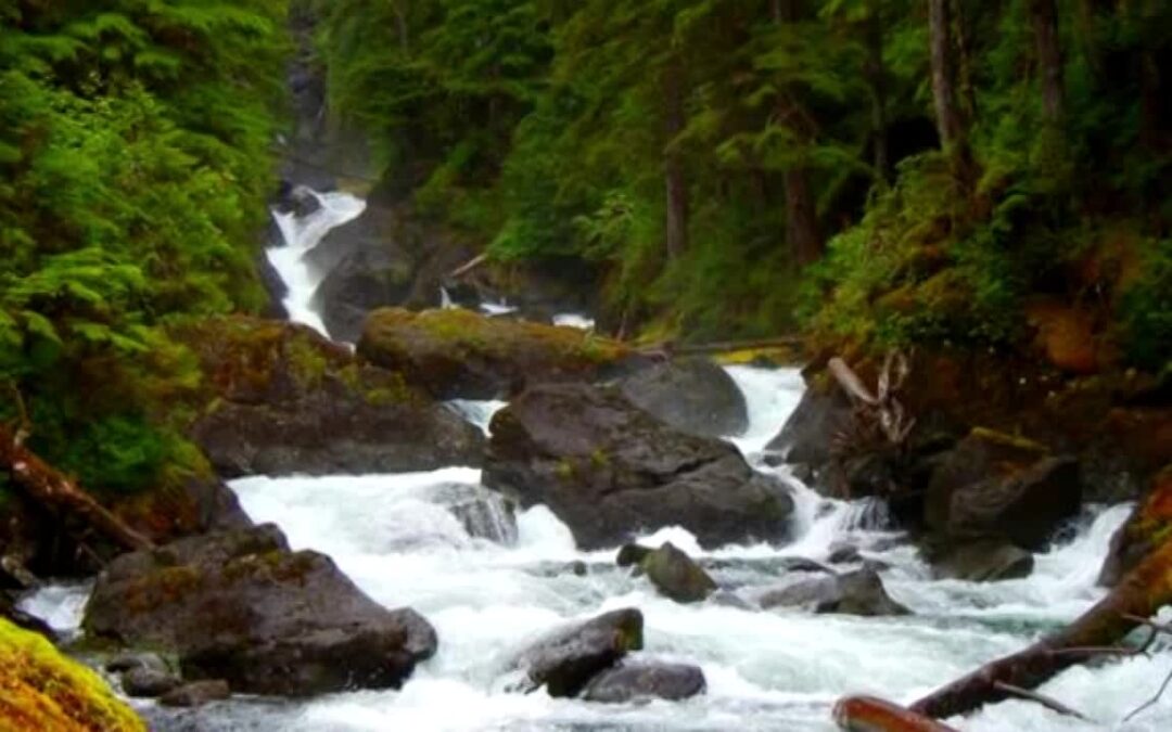USFS-TongassNF Sustainable Operations