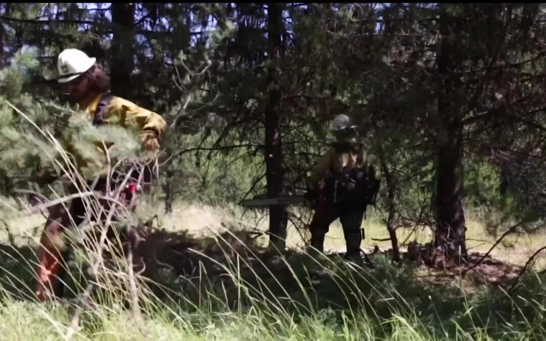 USFS-Lick Creek Fire Success