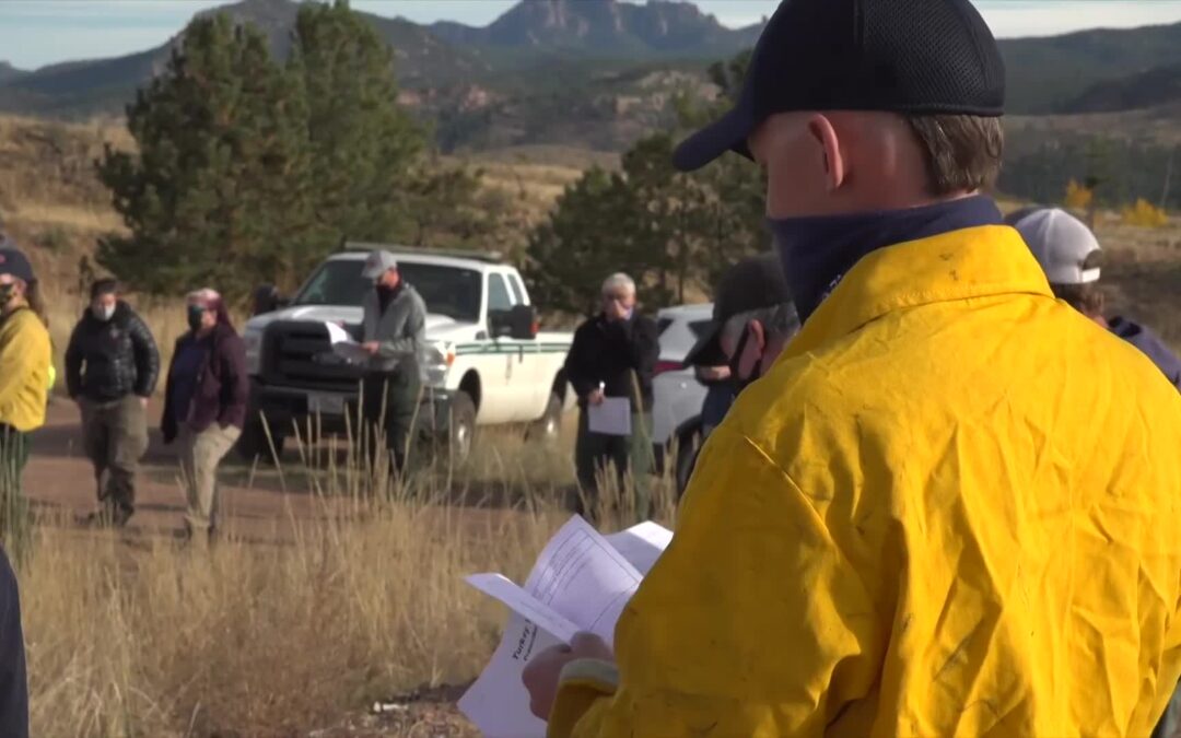 USFS-Turkey Tracks Prescribed Fire