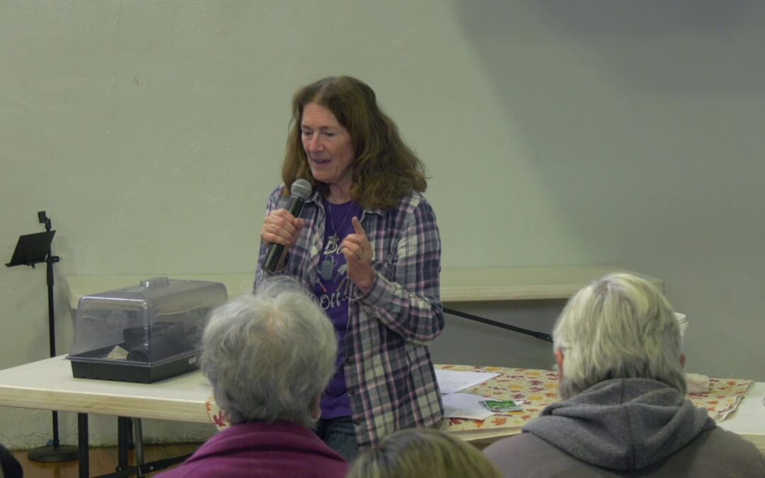 FoCuS 2024: Starting Your Seeds