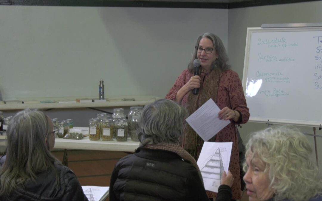 FoCuS 2024: Herbal Remedies