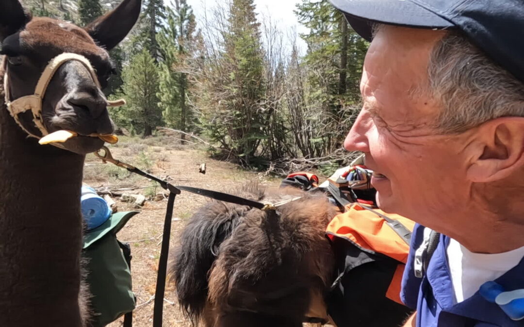 Walkin’ West: Immigrant Wilderness