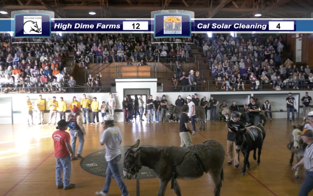 2024 Donkey Basketball