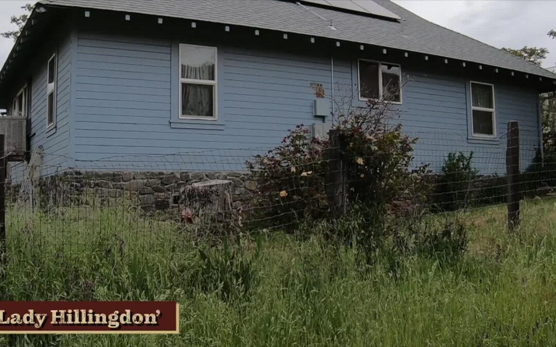 Willow’s Vintage Homestead: Rose Tour