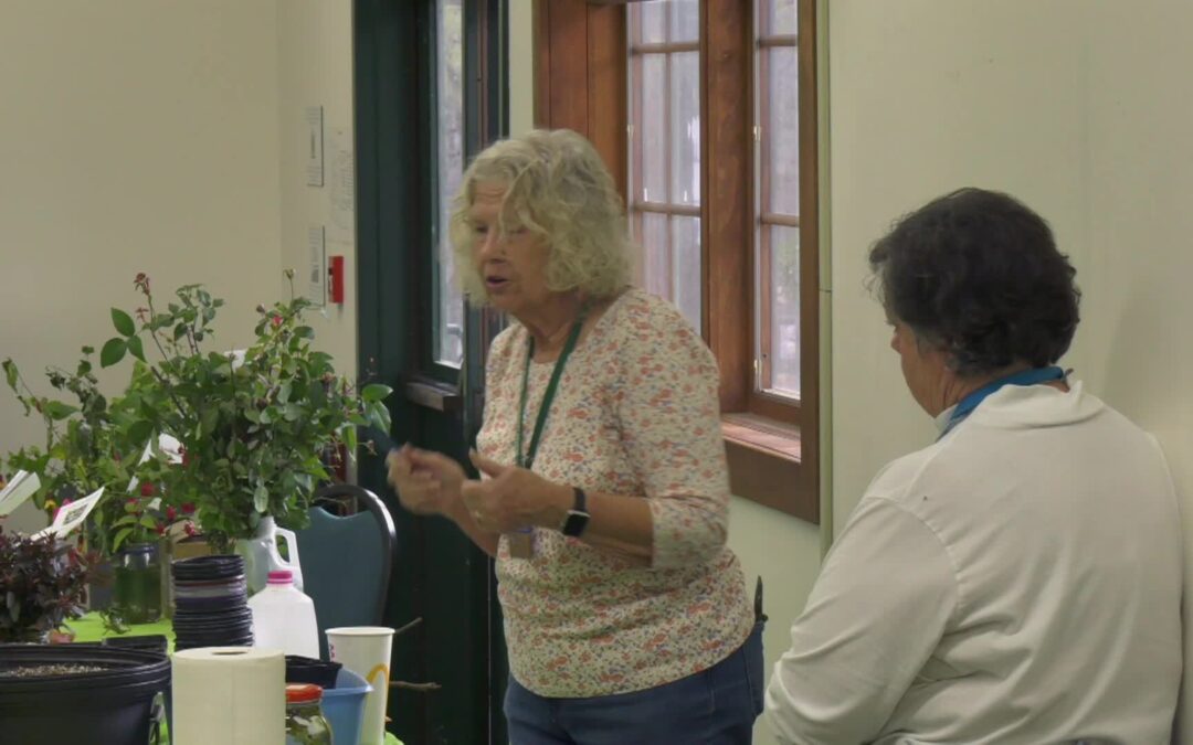Master Gardeners: Propagation