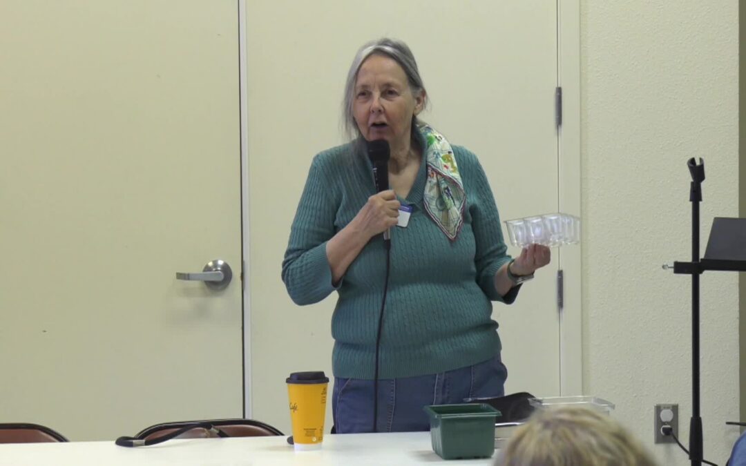 FoCuS 2025: Starting Your Seeds