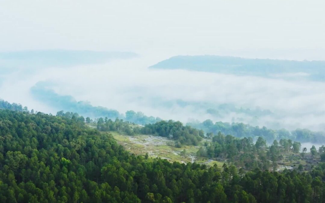 USFS-Glade Restoration on the Ozark