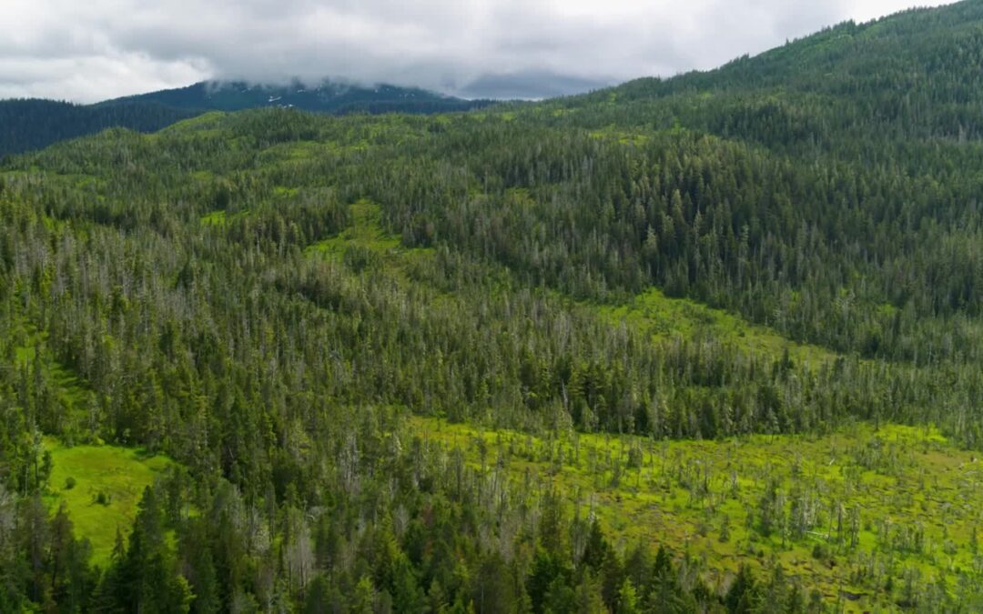 USFS-TongassNF