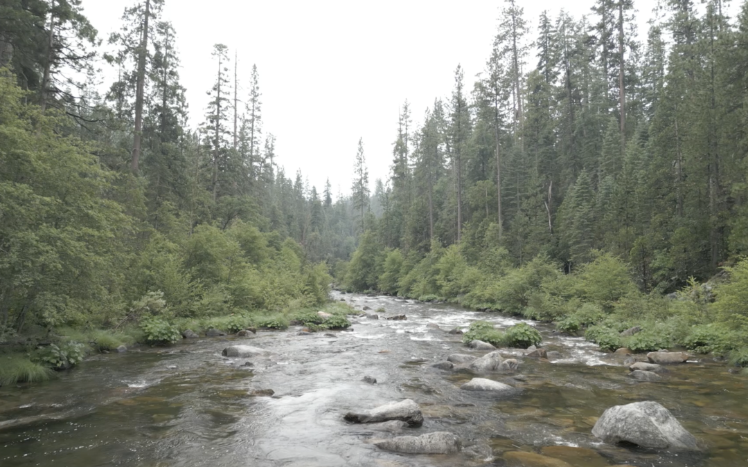 Between Two Rivers