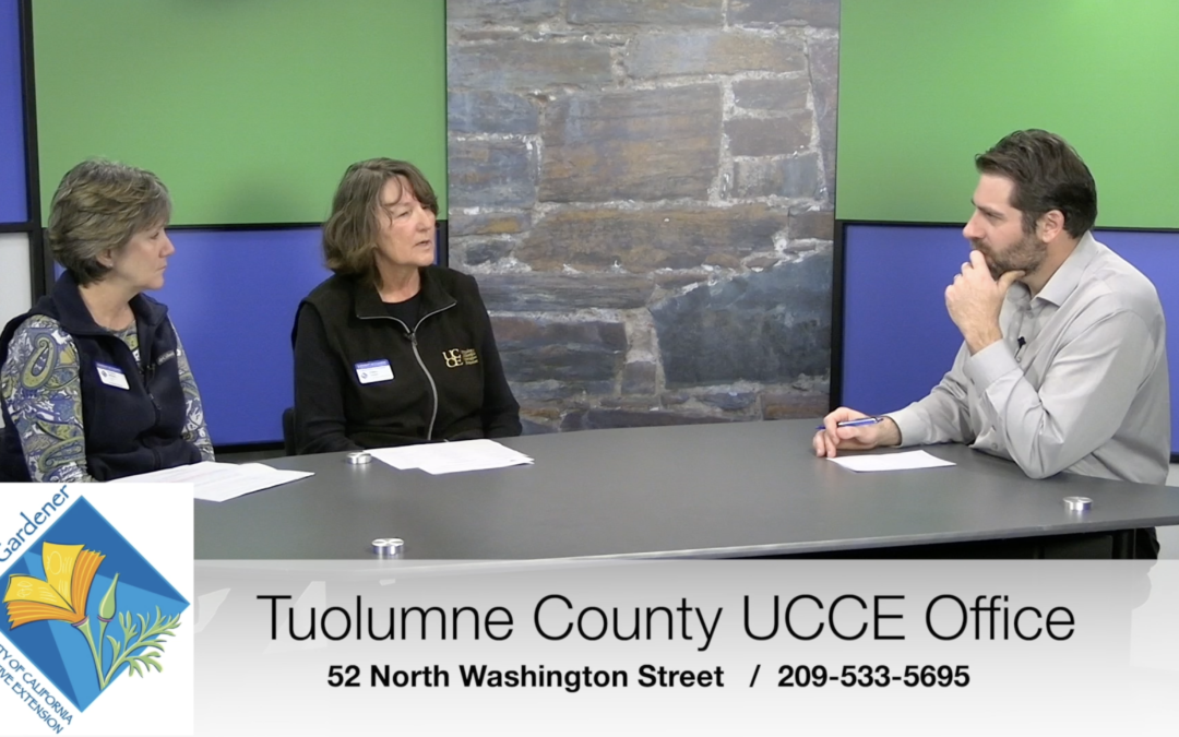 The Conversation: Master Gardeners