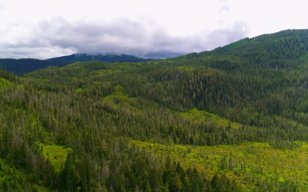USFS-Alaskas National Forests
