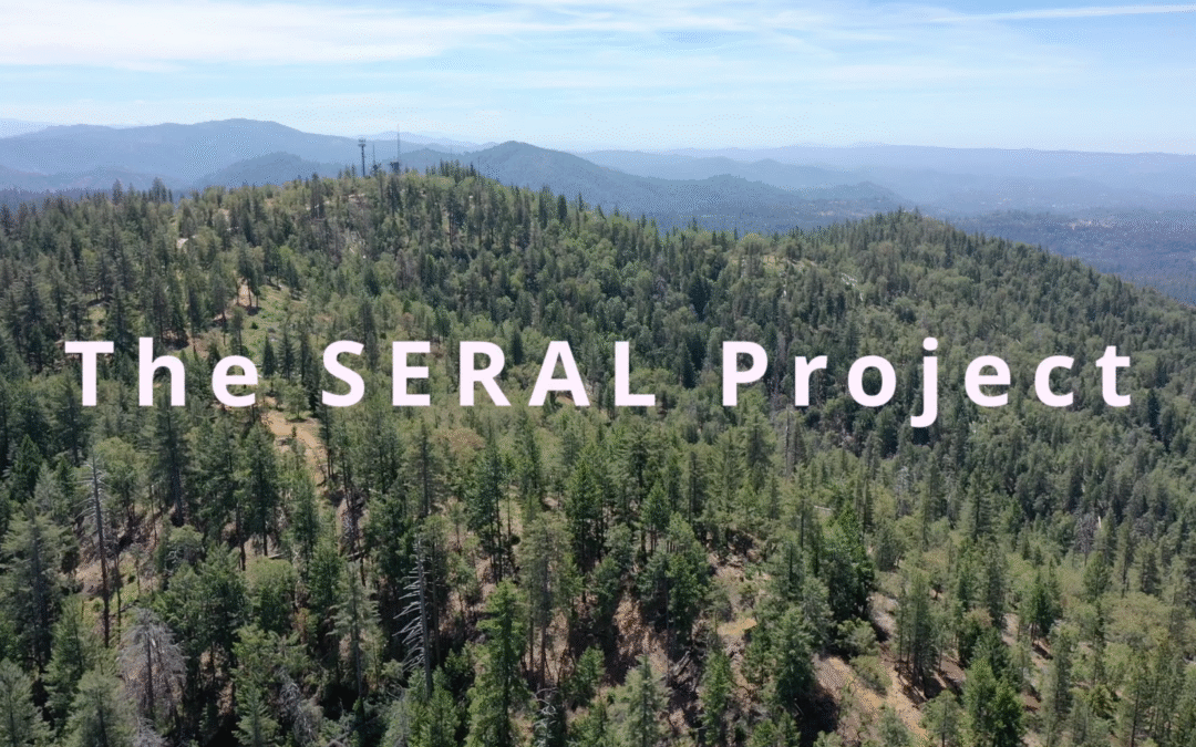 The SERAL Project