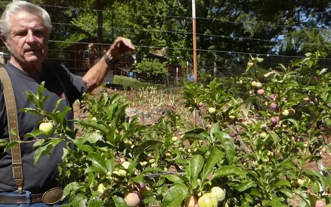 Master Gardeners: Small Home Orchard