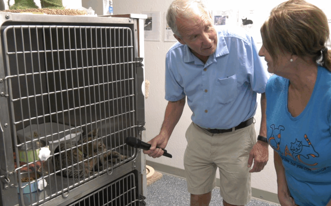 Good News: Friends of the Animal Community