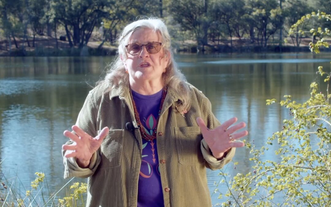 Pebbles in a Pond: The Rippling Effect of Democracy (Episode 5)