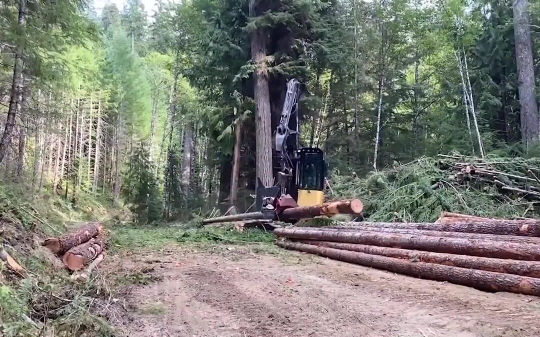 USFS-Mother-Daughter Goat Rocks Fire