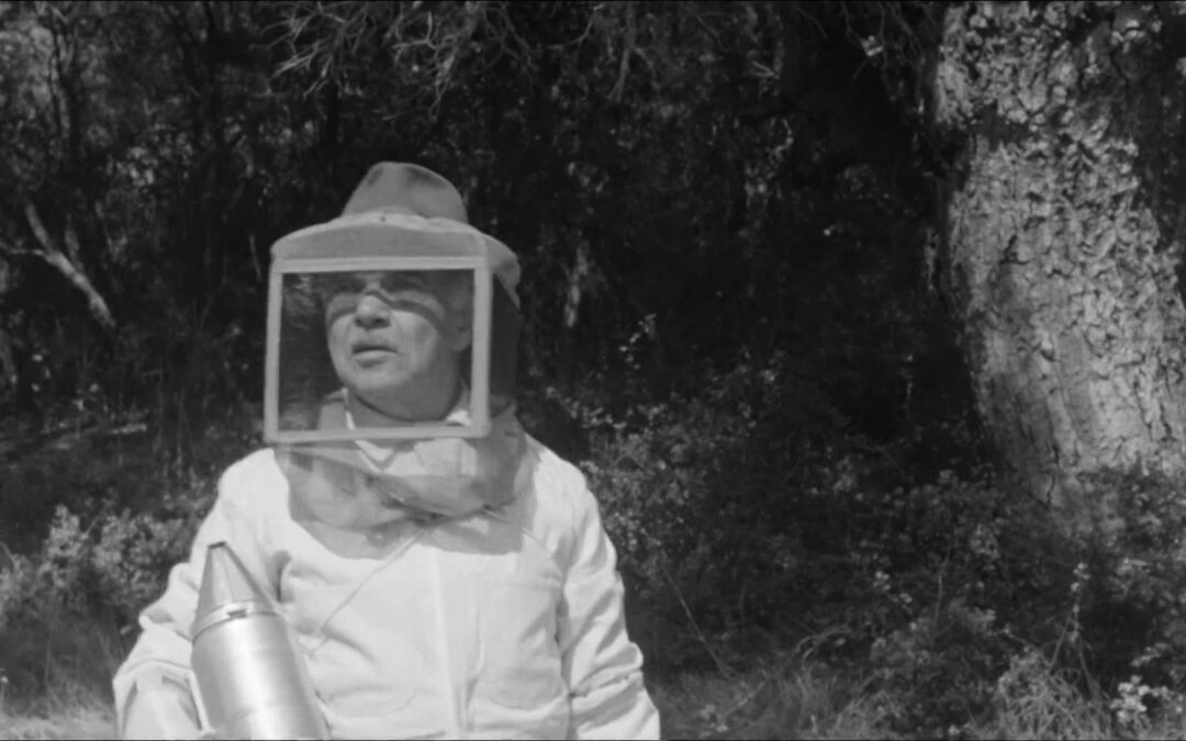 AT Classic: The Wasp Woman (1959)