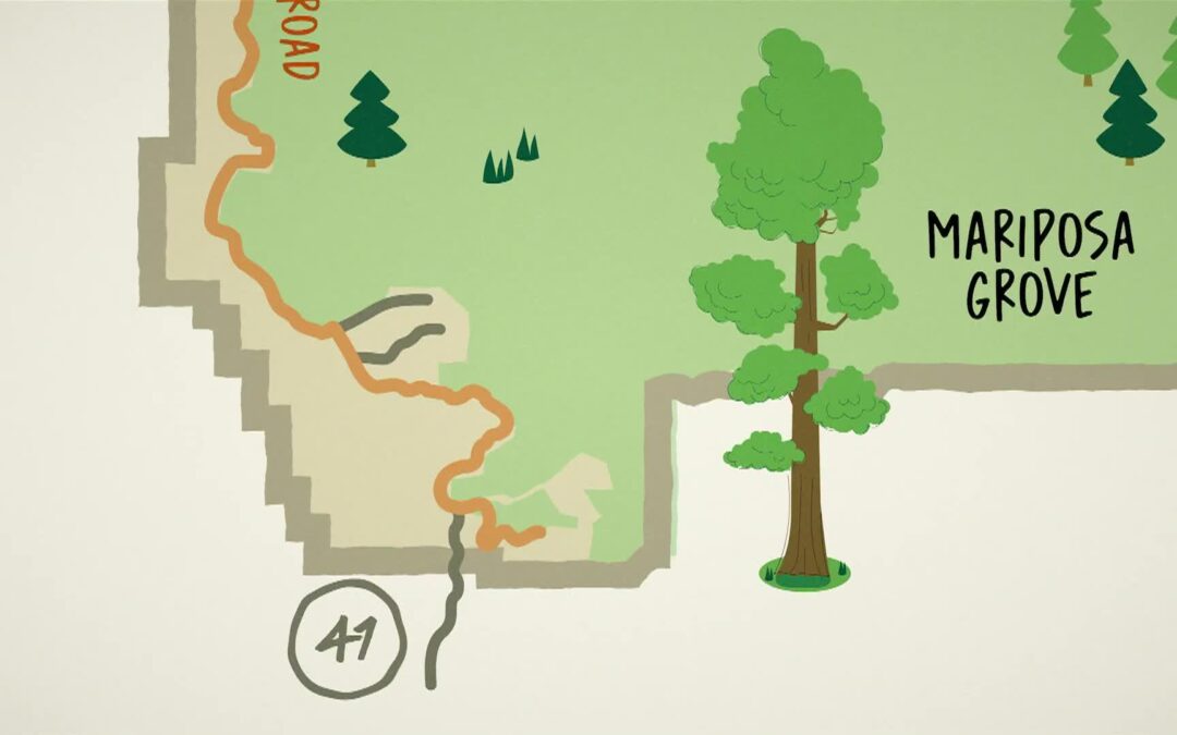 Yosemite Nature Notes