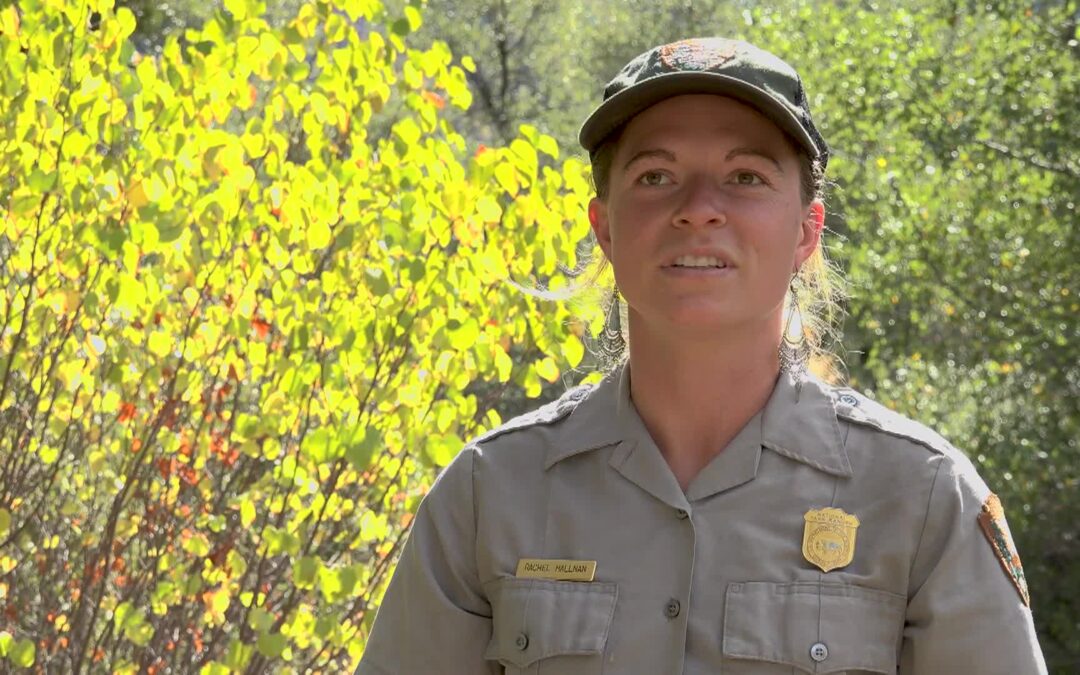 Yosemite Nature Notes