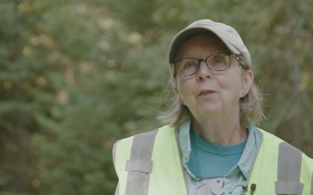 USFS-Clearing the Way