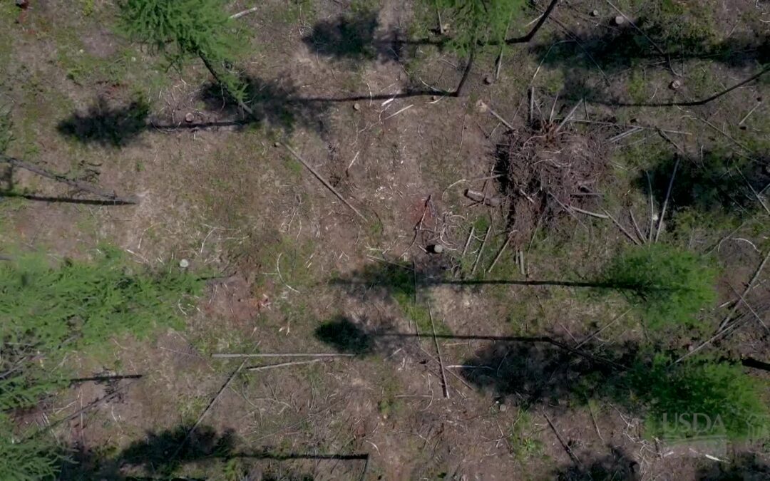 USFS-Jackknife Project