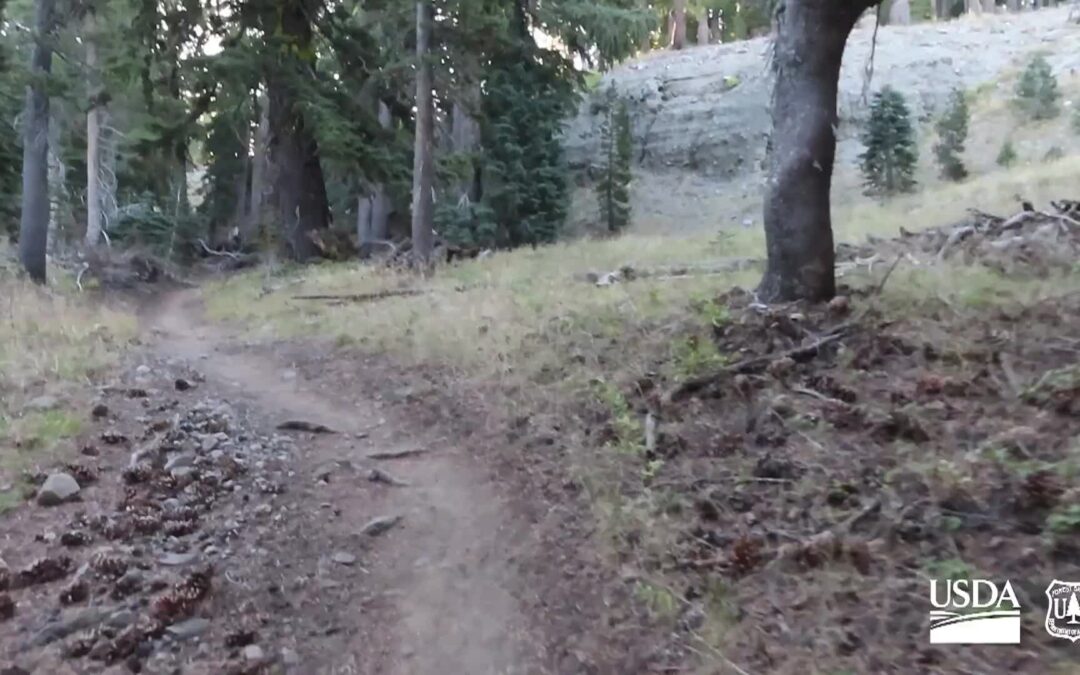 USFS-Peak Bagger Series  Highland and Silver Peaks
