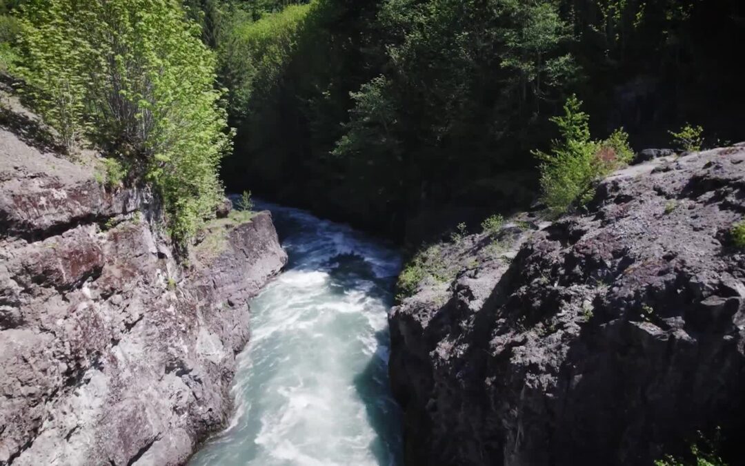 USFS-Olympic Peninsula Restoring Rainforest Rivers