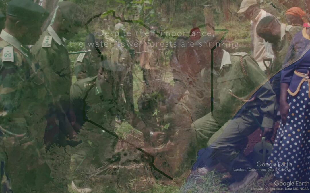 USFS-Mt Elgon Forest Participatory Management Plan 2024