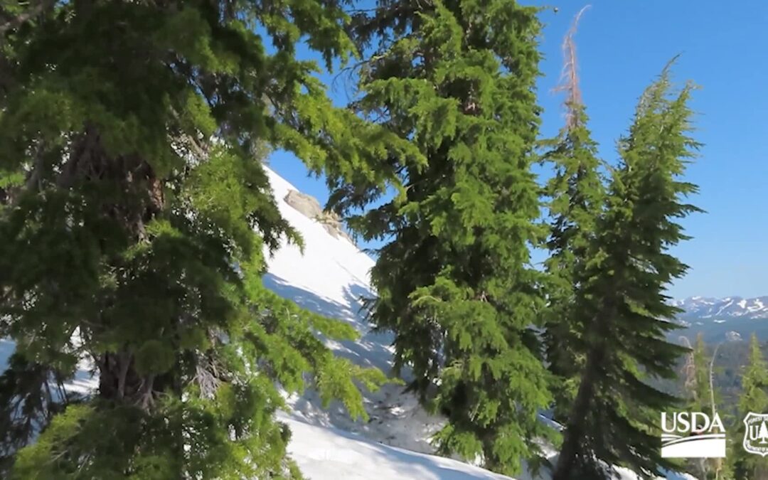 USFS-Peak Bagger Series Lookout and Peep Sight Peaks