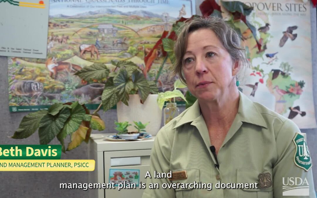 USFS-Cimarron and Comanche National Grasslands Plan Revision
