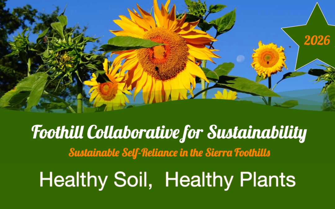 FoCuS 2026: Healthy Soil, Healthy Plants