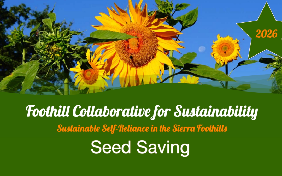 FoCuS 2026: Seed Saving
