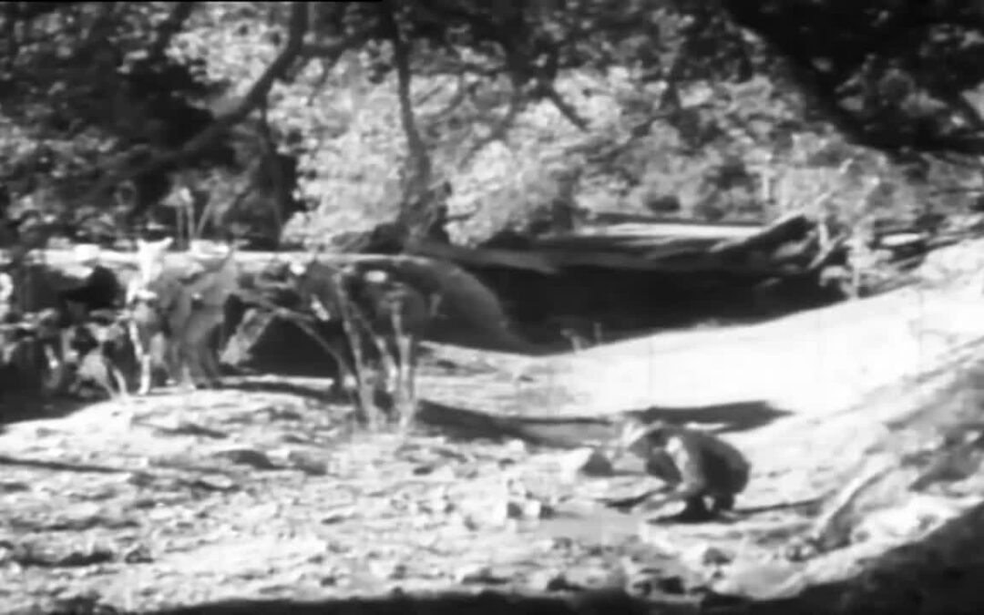 B-Western Theater: Pinto Bandit (1944)