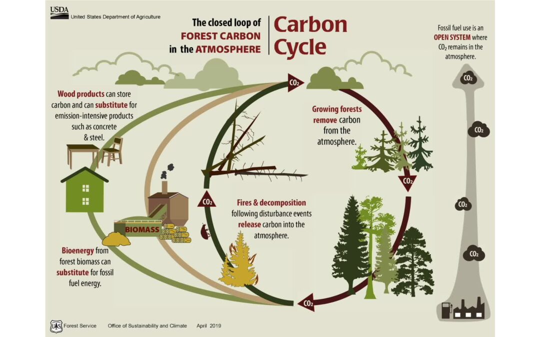 CCPCA Conference-Biomass in Construction